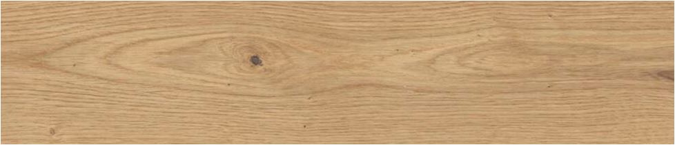 22X90 FOREST NATURAL MATE