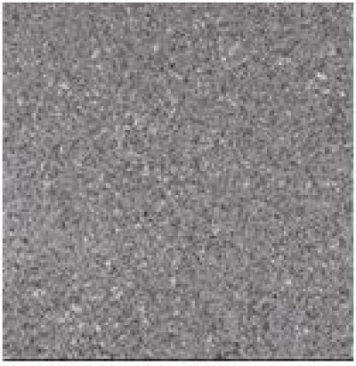 33,3X33,3 TITAN NEGRO MATE_142